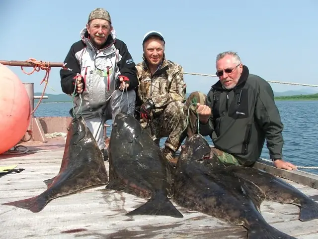 Ocean fishing for blue-skinned halibut
