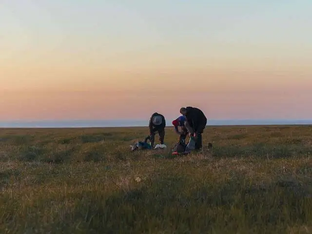 Students of the "Arctic Team" Conduct a Census of Red Book Arctic Foxes on Bering Island